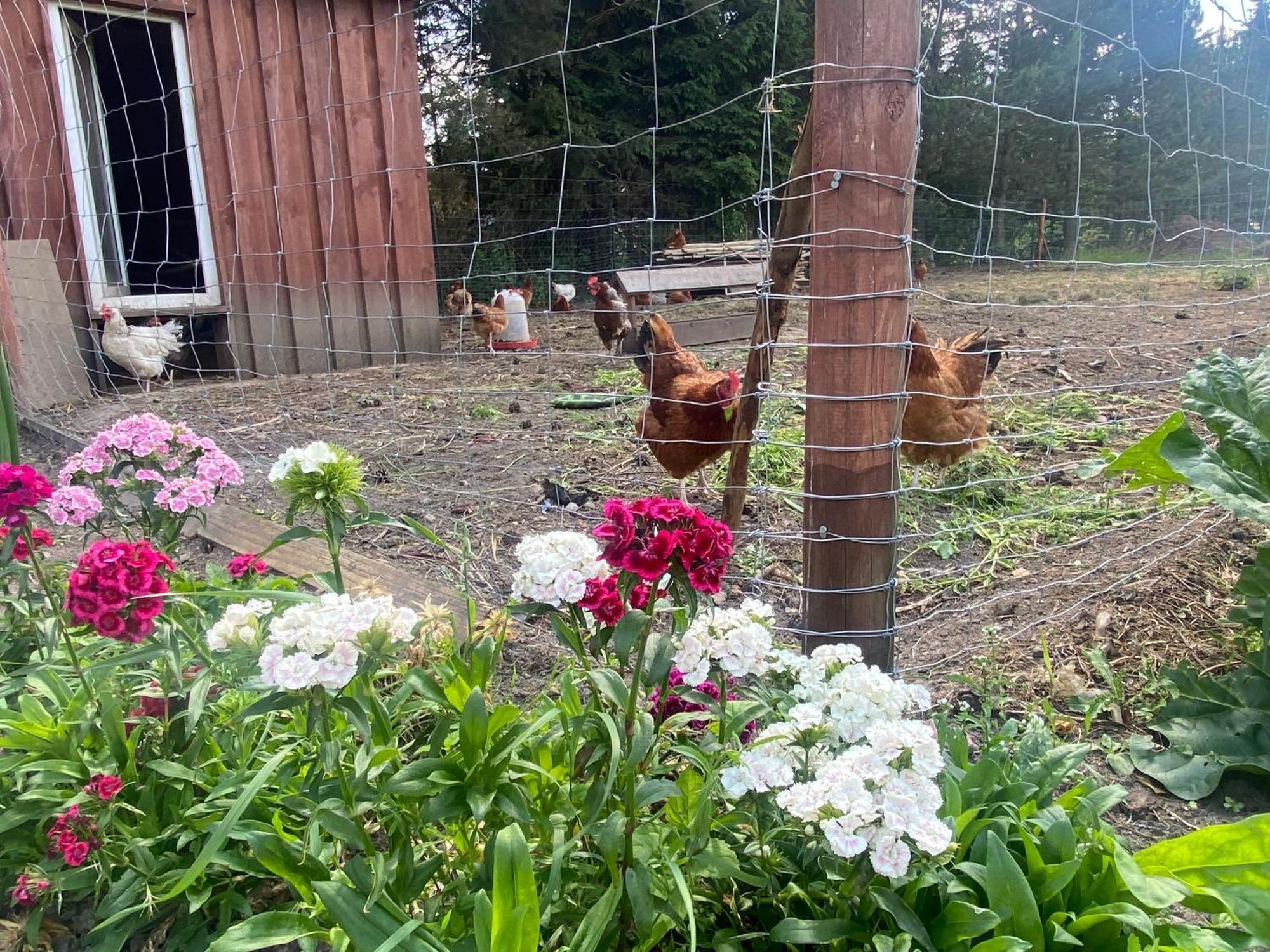 Agroturystyka Omelia Człuchów Buitenkant foto